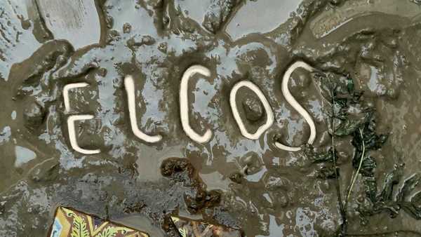 El cos